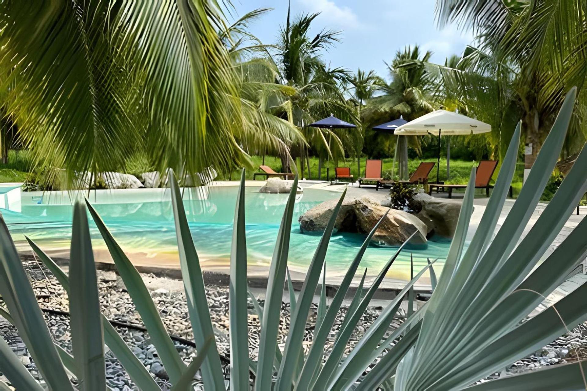 Casa Las Palmas Playa La Saladita Zihuatanejo Buitenkant foto