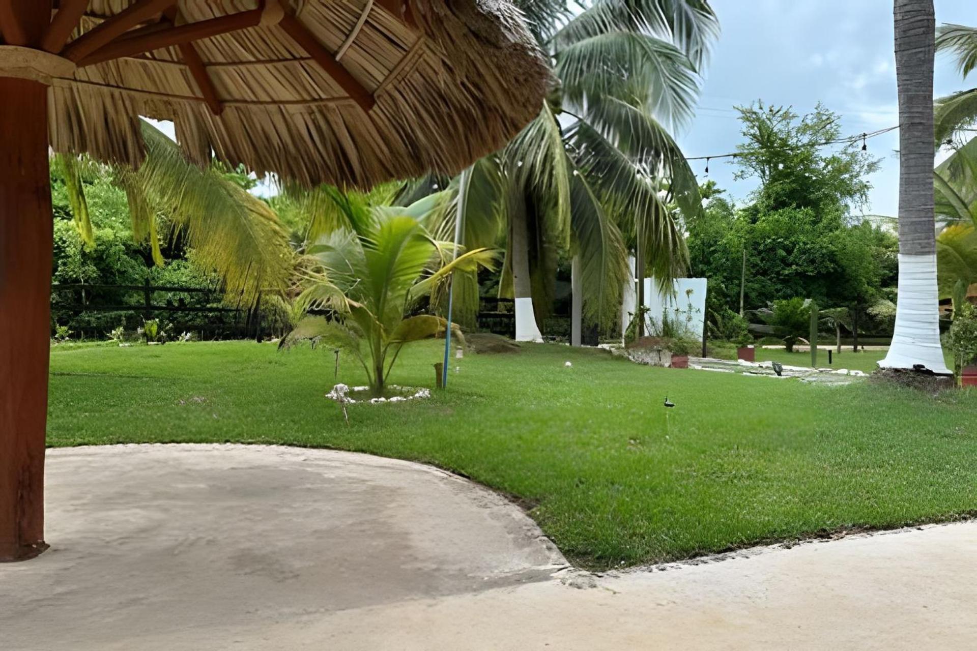 Casa Las Palmas Playa La Saladita Zihuatanejo Buitenkant foto