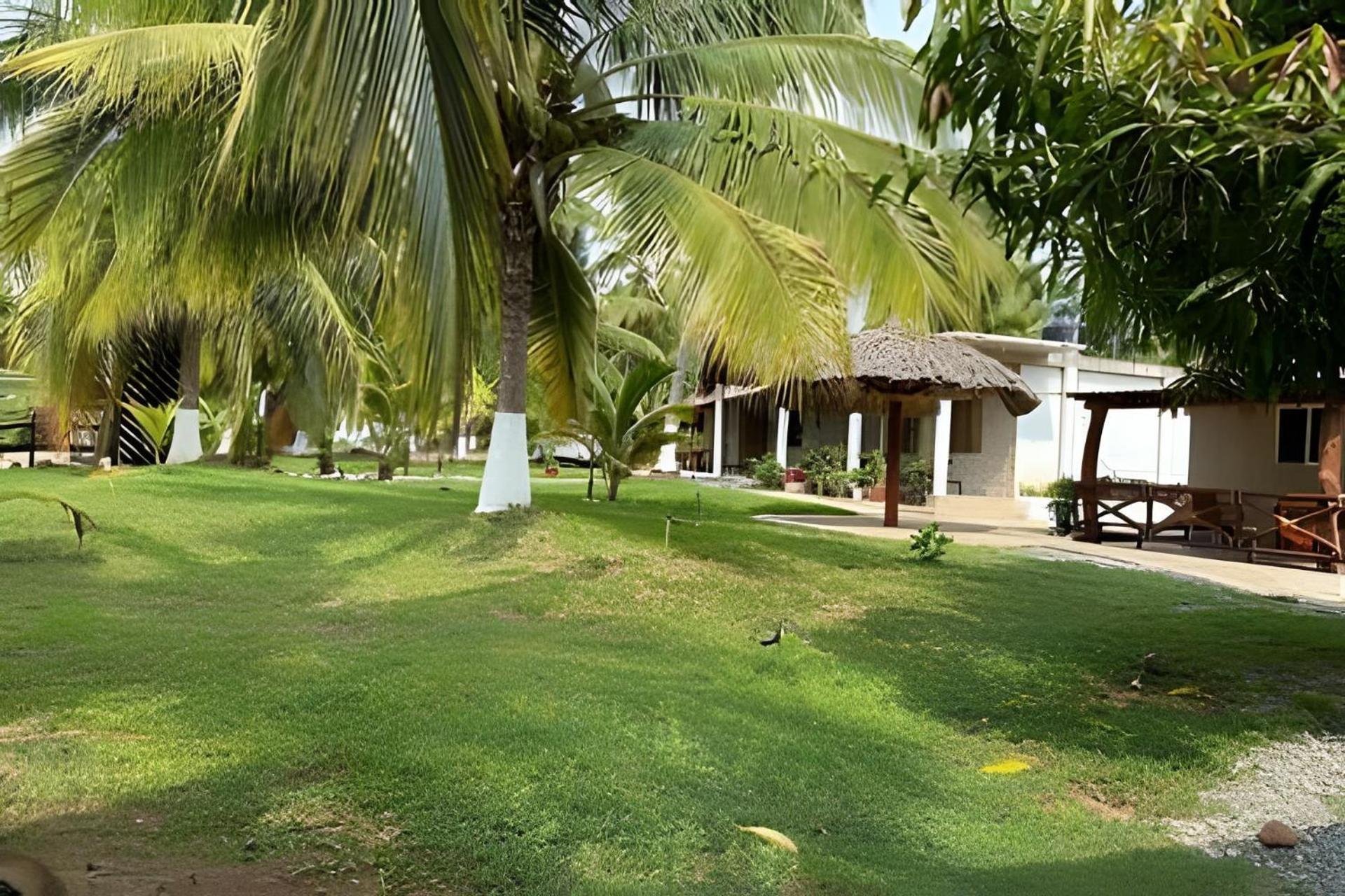 Casa Las Palmas Playa La Saladita Zihuatanejo Buitenkant foto