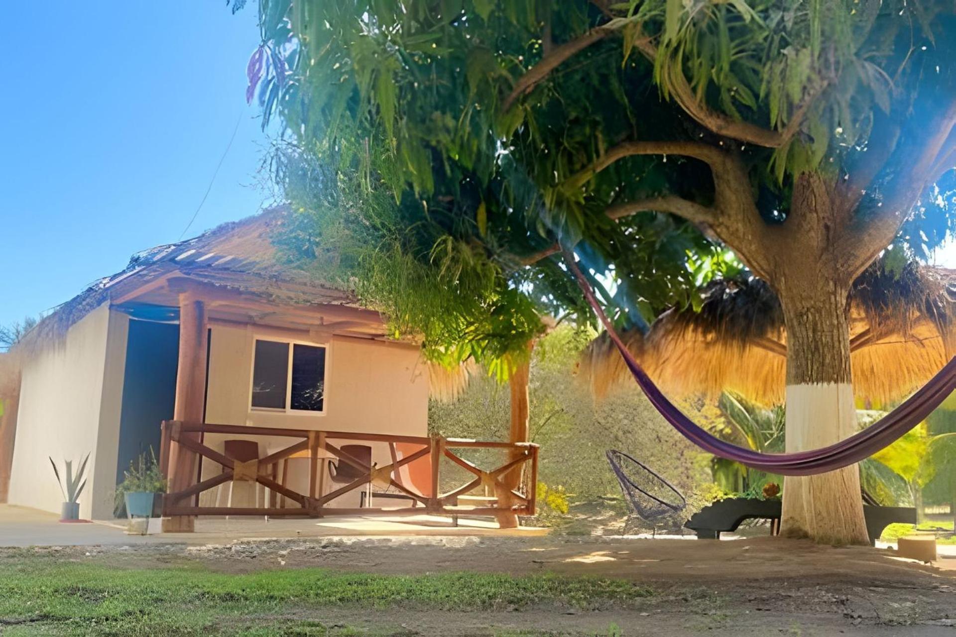 Casa Las Palmas Playa La Saladita Zihuatanejo Buitenkant foto