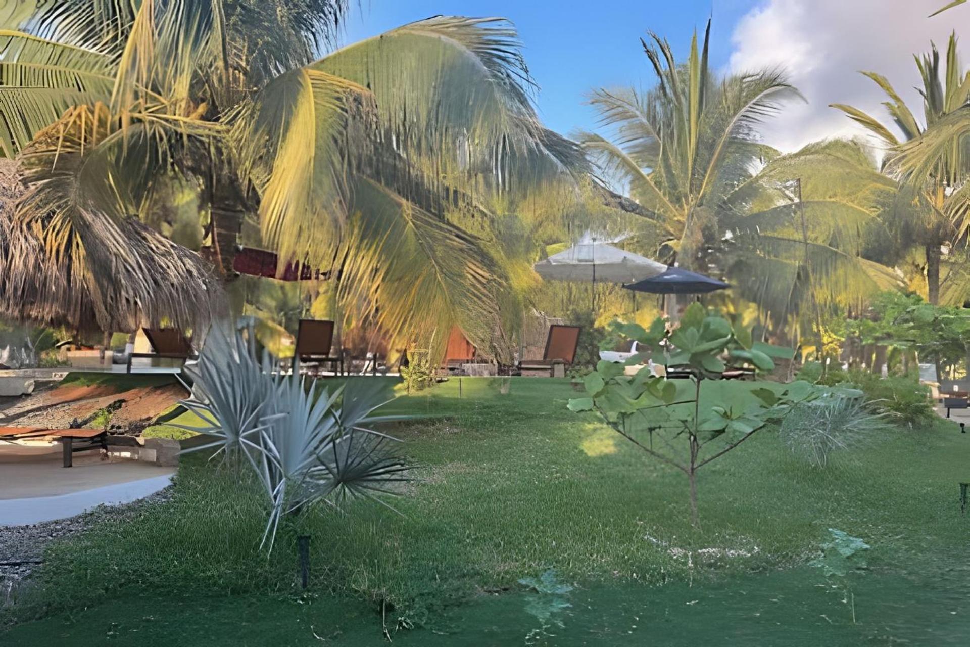 Casa Las Palmas Playa La Saladita Zihuatanejo Buitenkant foto