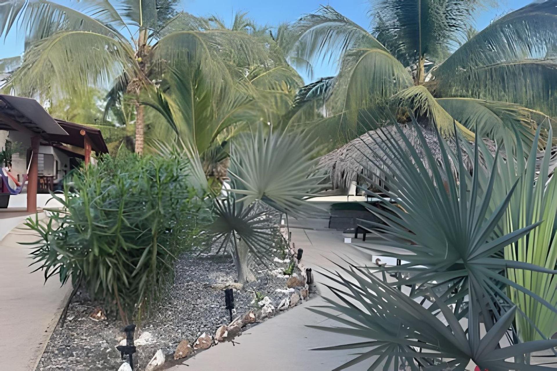 Casa Las Palmas Playa La Saladita Zihuatanejo Buitenkant foto