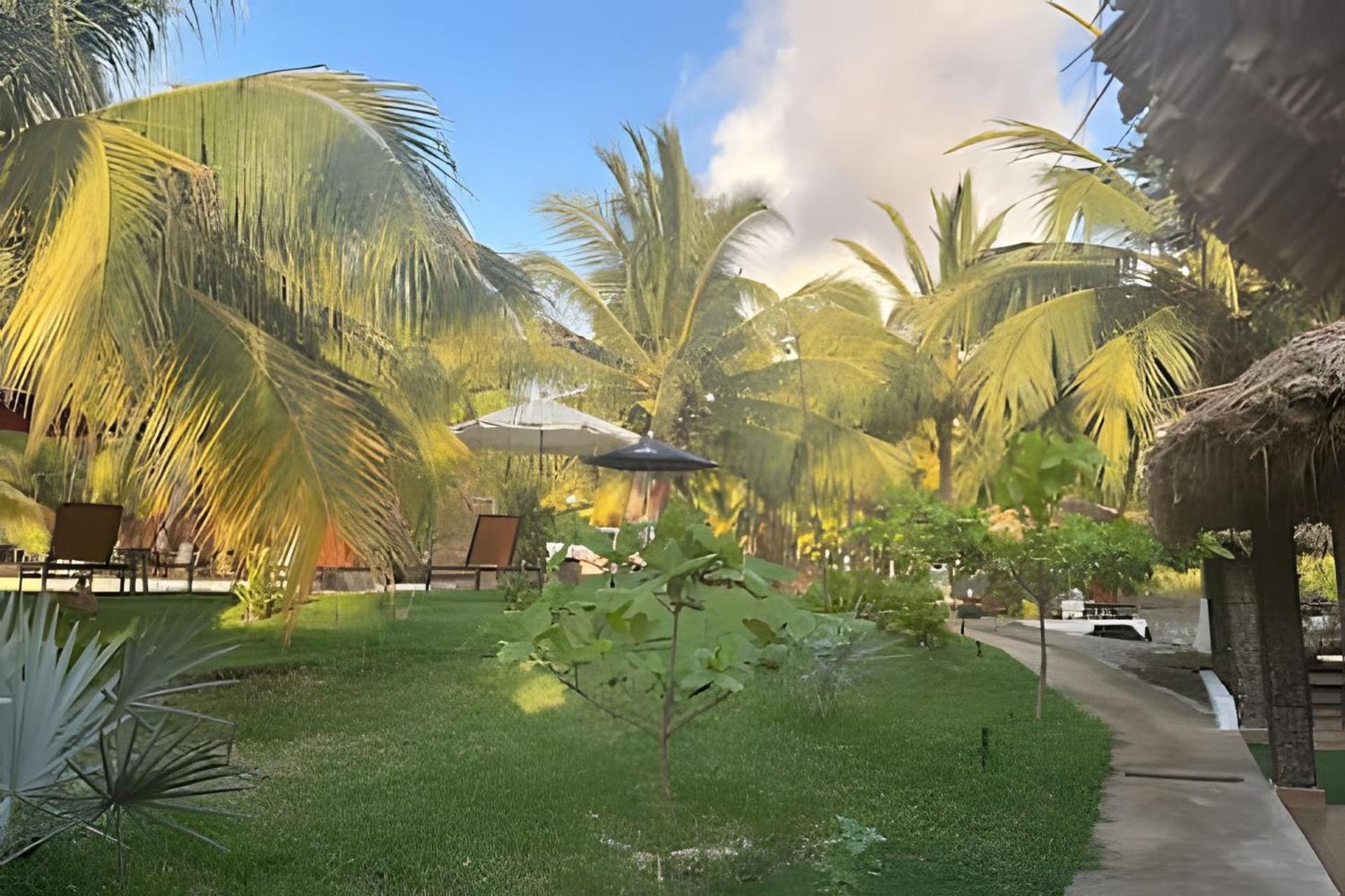 Casa Las Palmas Playa La Saladita Zihuatanejo Buitenkant foto