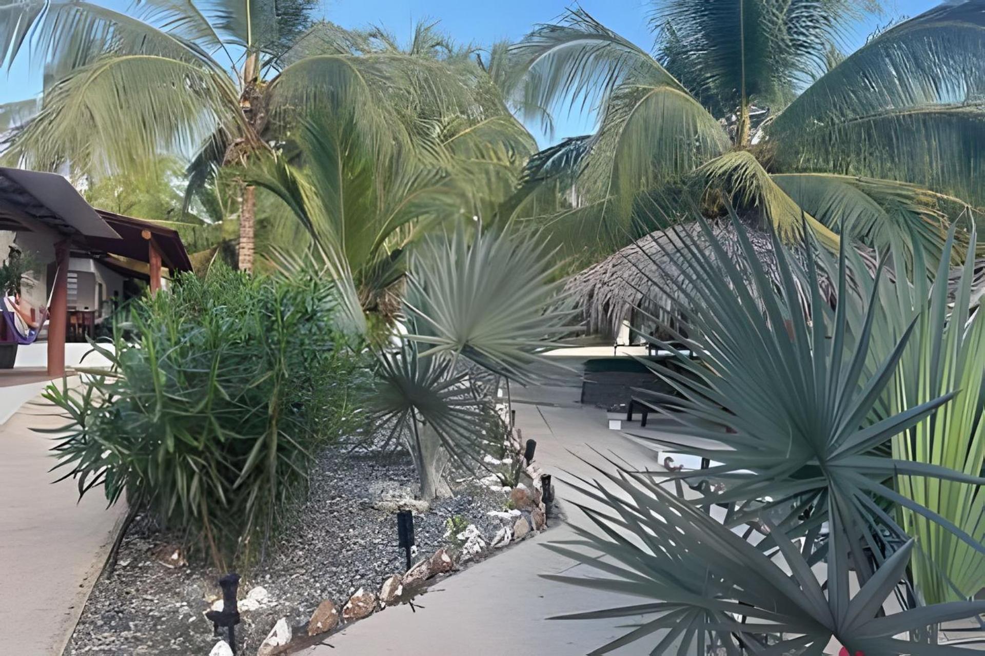 Casa Las Palmas Playa La Saladita Zihuatanejo Buitenkant foto