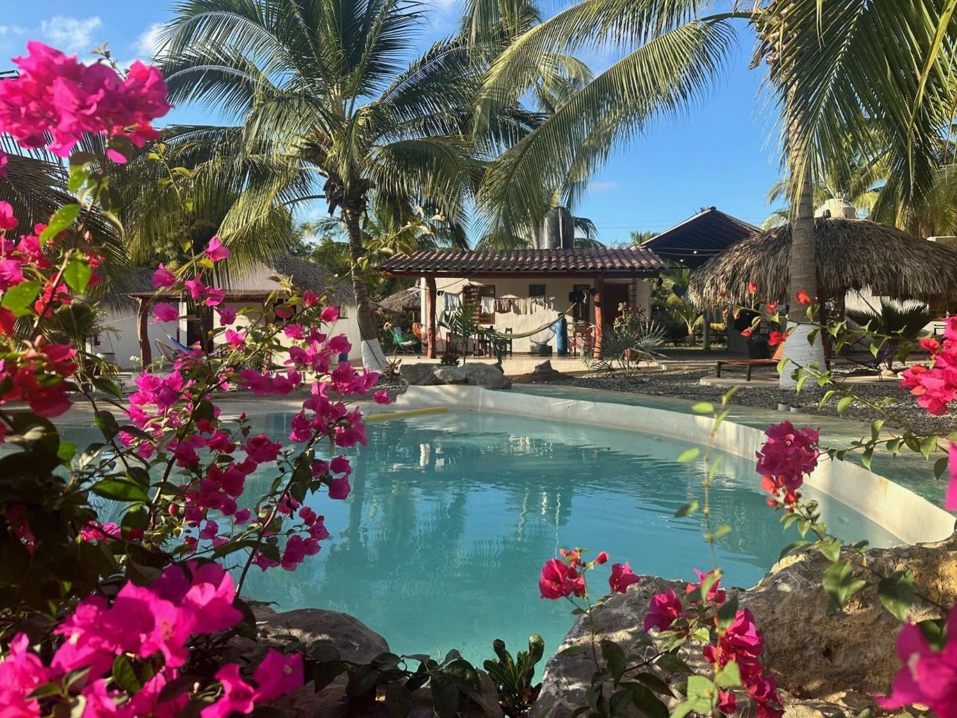 Casa Las Palmas Playa La Saladita Zihuatanejo Buitenkant foto