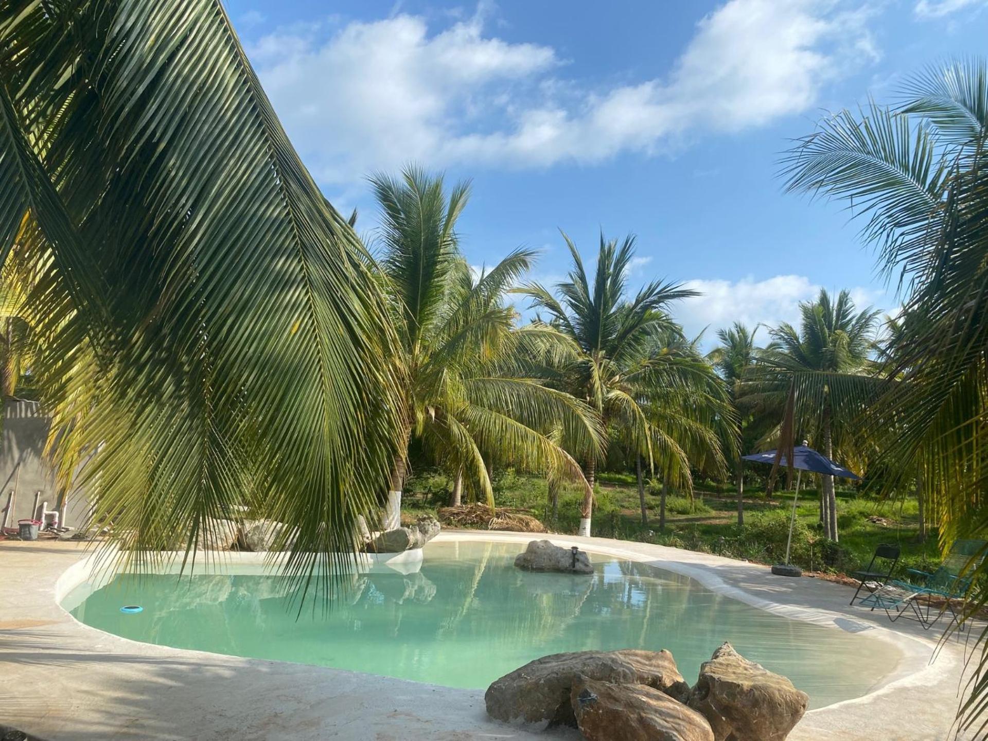 Casa Las Palmas Playa La Saladita Zihuatanejo Buitenkant foto